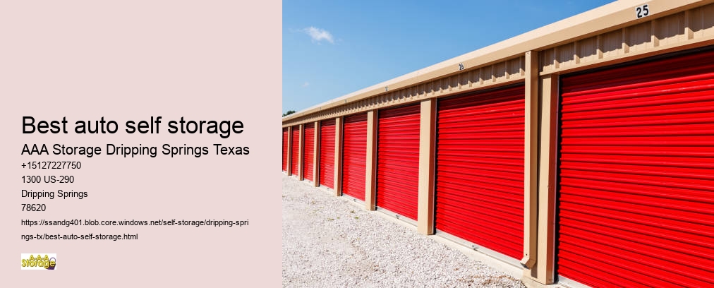 climate controlled storages Dripping Springs