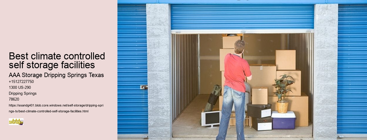 storage units in dripping springs tx