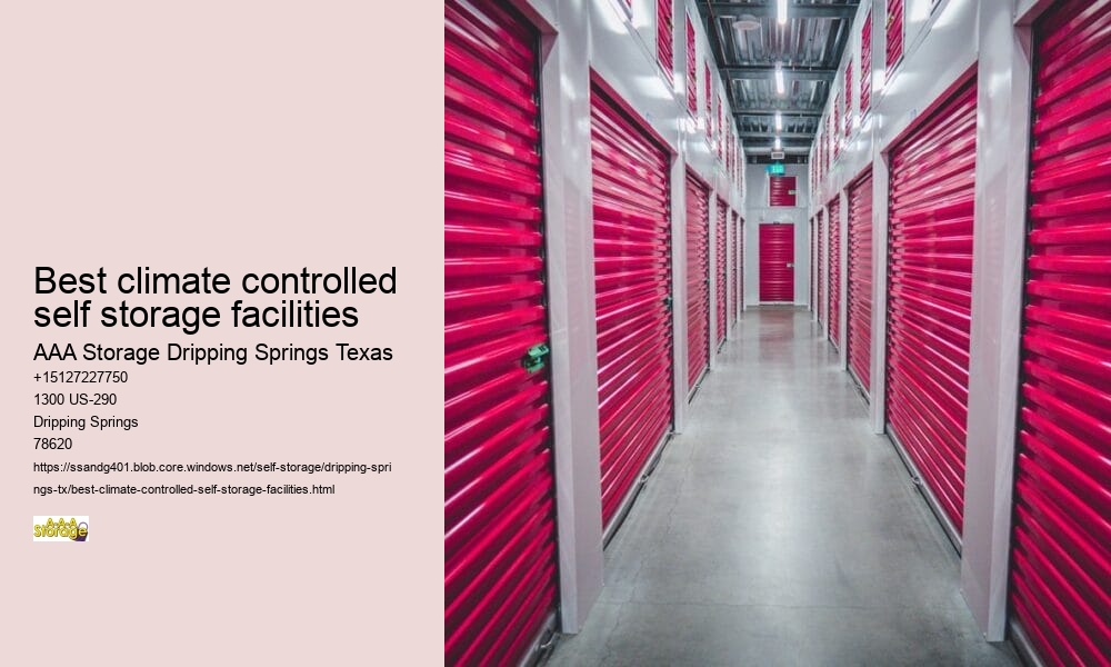 auto storage near Dripping Springs
