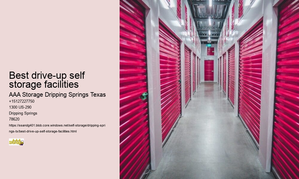 climate controlled storage unit near Dripping Springs