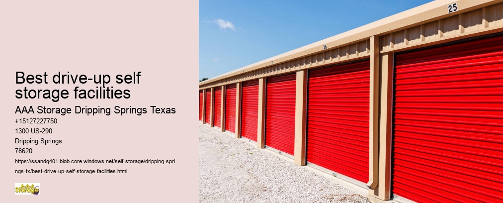climate controlled storage unit near Dripping Springs