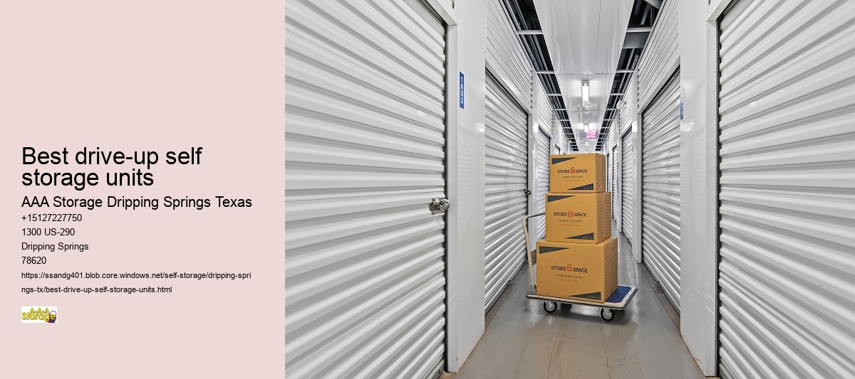 climate controlled self storage Dripping Springs