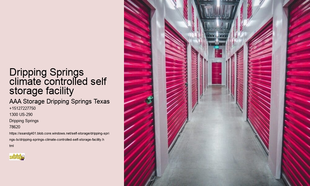 climate controlled self storages Dripping Springs