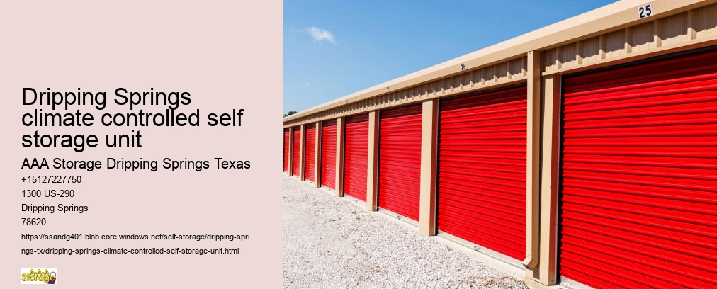 aaa storage dripping springs tx