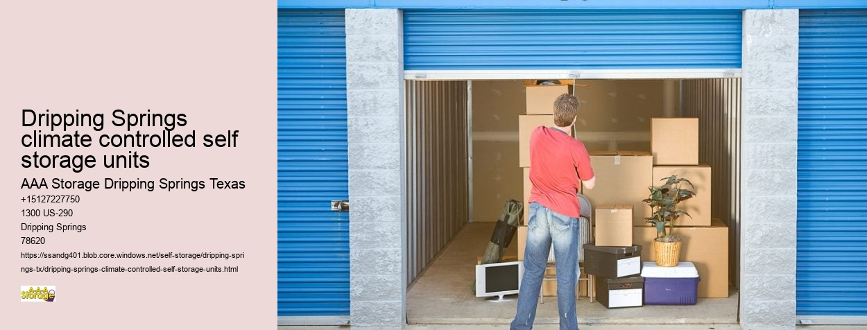 climate controlled storage facilities Dripping Springs