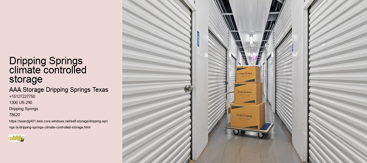 rv self storage near Dripping Springs