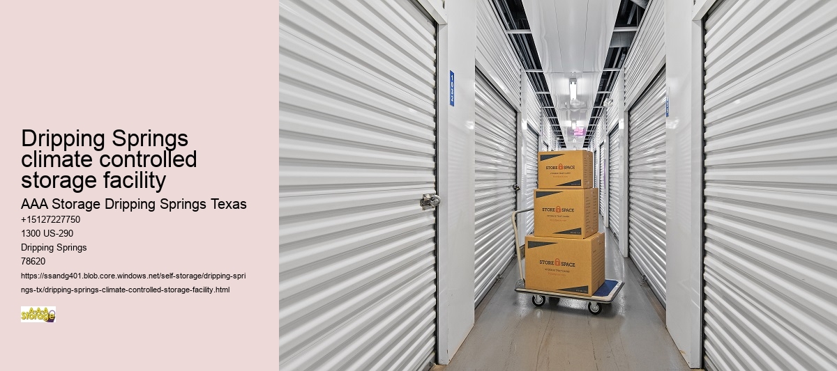auto self storage Dripping Springs