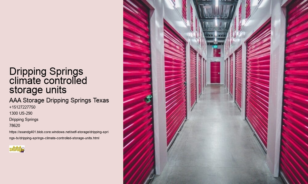 drive-up storage facilities Dripping Springs