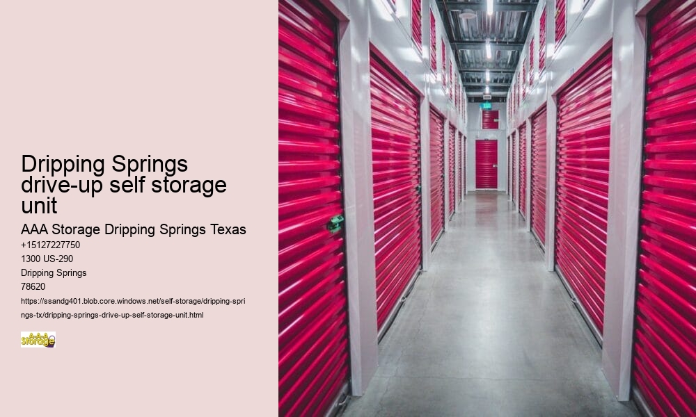 aaa storage dripping springs