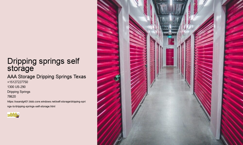 climate controlled self storages near Dripping Springs