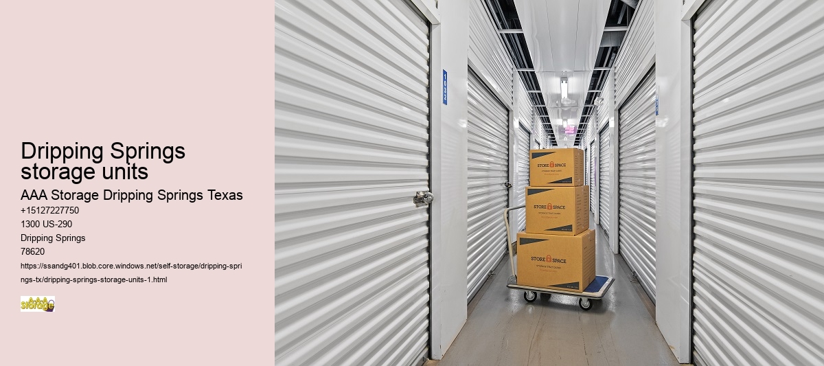 vehicle self storage near Dripping Springs